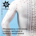 Меридианы желудка, селезенки, сердца и тонкого кишечника