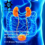 Меридианы мочевого пузыря, почек и перикарда