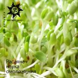 Расаяна - наука омоложения Расаяна - наука омоложения