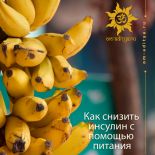 Снижение уровня инсулина с помощью питания Снижение уровня инсулина с помощью питания