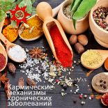Пять кармических механизмов хронических заболеваний