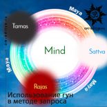 Использование гун материальной природы в методе запроса Использование гун материальной природы в методе запроса