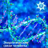 Энергетические связи человека