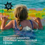 Причина развития болезней мочеполовой системы