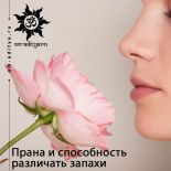 Прана и способность различать запахи