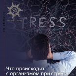 Что происходит с организмом при стрессе