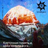 Клеточная память и кайа-кальпа йога