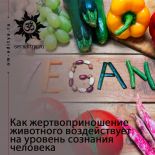 Как жертвоприношение животного воздействует на уровень сознания человека