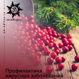 Профилактика вирусных заболеваний Профилактика вирусных заболеваний