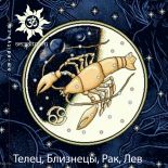 Телец, Близнецы, Рак, Лев и связь с меридианами Телец, Близнецы, Рак, Лев и связь с меридианами