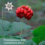 Помощники для снижения веса