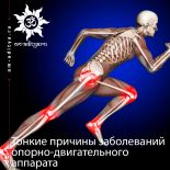 Тонкие причины заболеваний опорно-двигательного аппарата