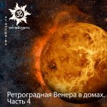 Ретроградная Венера в домах. Часть 4 Ретроградная Венера в домах. Часть 4